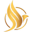 DYNARESOURCE, INC. logo