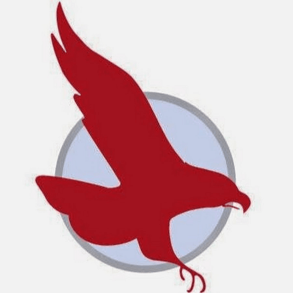 Saker Aviation Services, Inc. logo