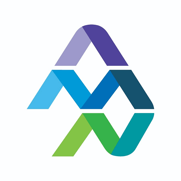 AMN HEALTHCARE SERVICES INC logo