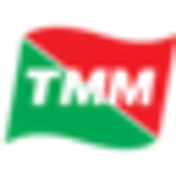GRUPO TMM SAB logo