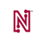 NETLIST INC logo