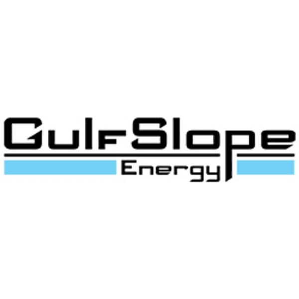 GULFSLOPE ENERGY, INC. logo