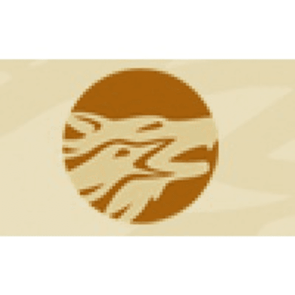 Western Copper & Gold Corp logo