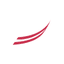 Central North Airport Group logo