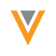 VEEVA SYSTEMS INC logo
