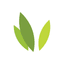 IRONWOOD PHARMACEUTICALS INC logo