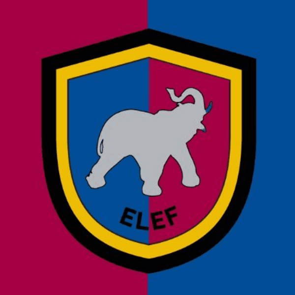 Silver Elephant Mining Corp. logo