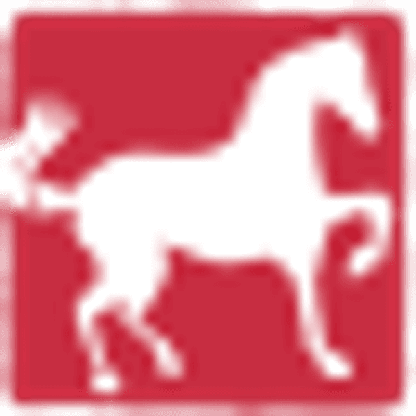 WhiteHorse Finance, Inc. logo