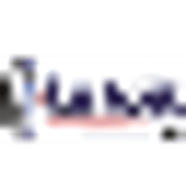 ANVI GLOBAL HOLDINGS, INC. logo