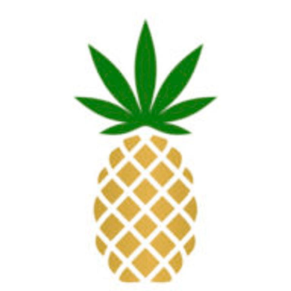 PINEAPPLE, INC. logo