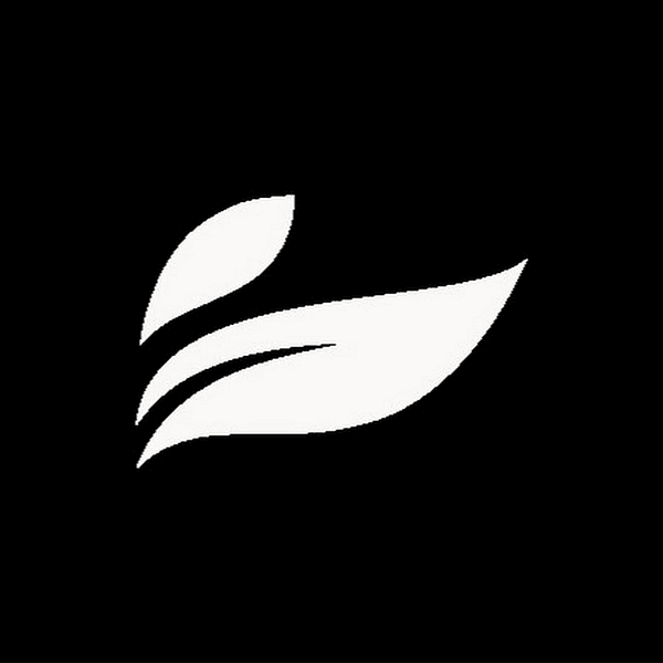 Leef Brands Inc. logo