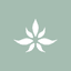Cannabist Co Holdings Inc. logo