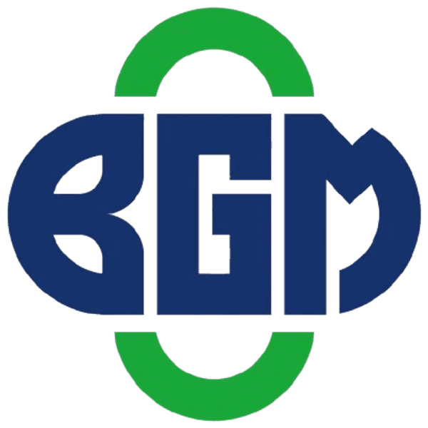 BGM Group Ltd. logo