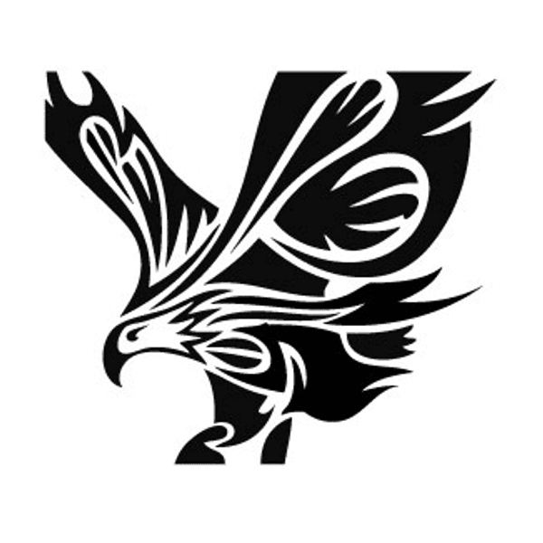 Bold Eagle Acquisition Corp. logo