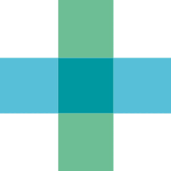 Bausch & Lomb Corp logo