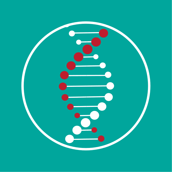 Quantum Cyber N.V. logo
