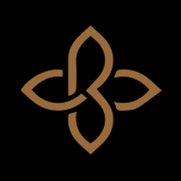 BrilliA Inc logo