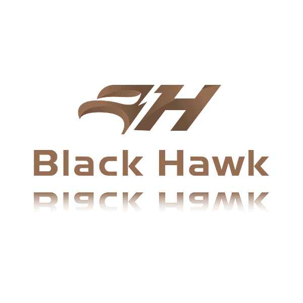 Black Hawk Acquisition Corp logo