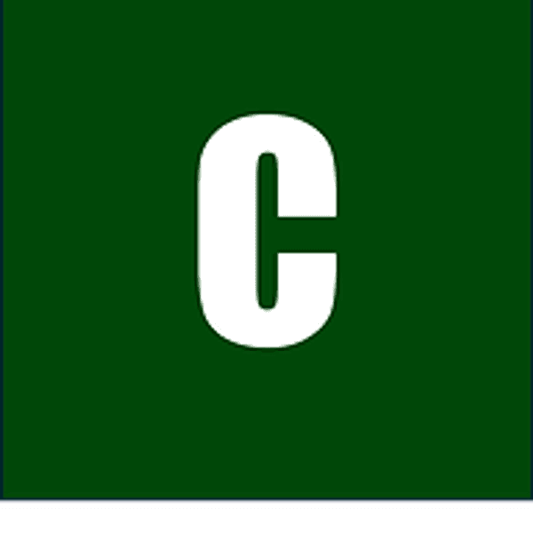 Cayson Acquisition Corp logo