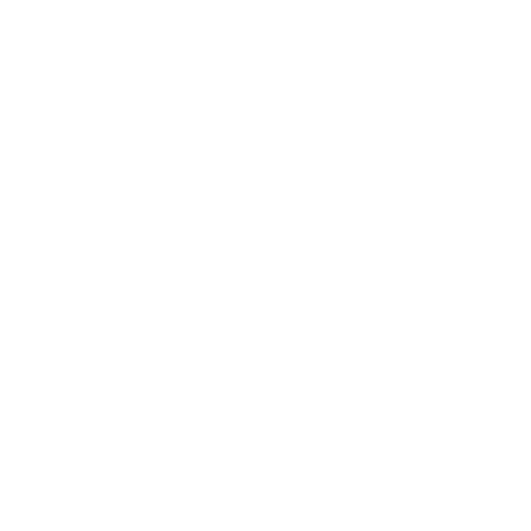 Flowco Holdings Inc. logo