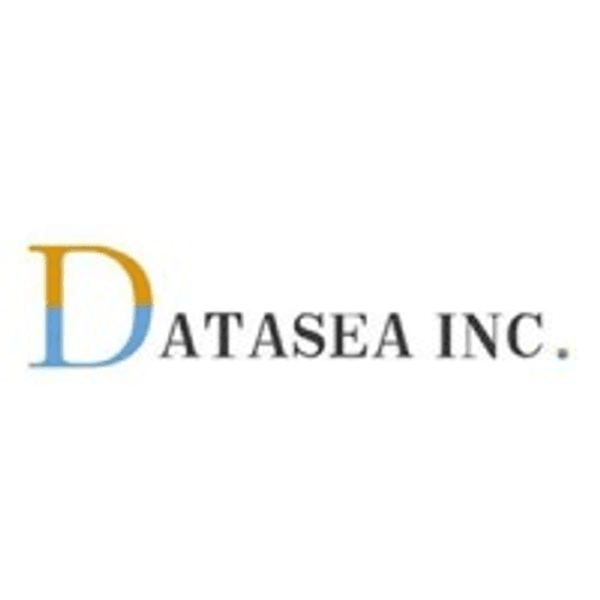 Datasea Intelligent Technology Ltd. logo