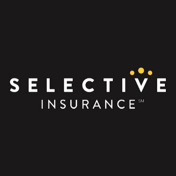 SELECTIVE INSURANCE GROUP INC logo