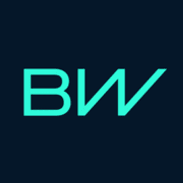 BORGWARNER INC logo