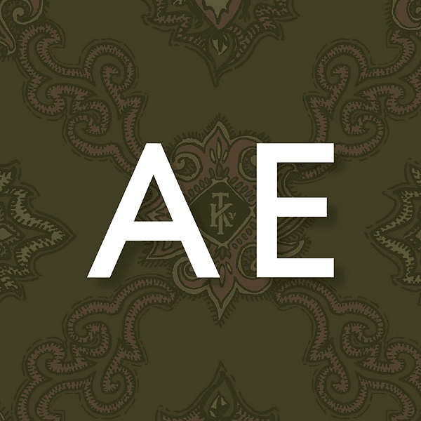 AMERICAN EAGLE OUTFITTERS INC logo