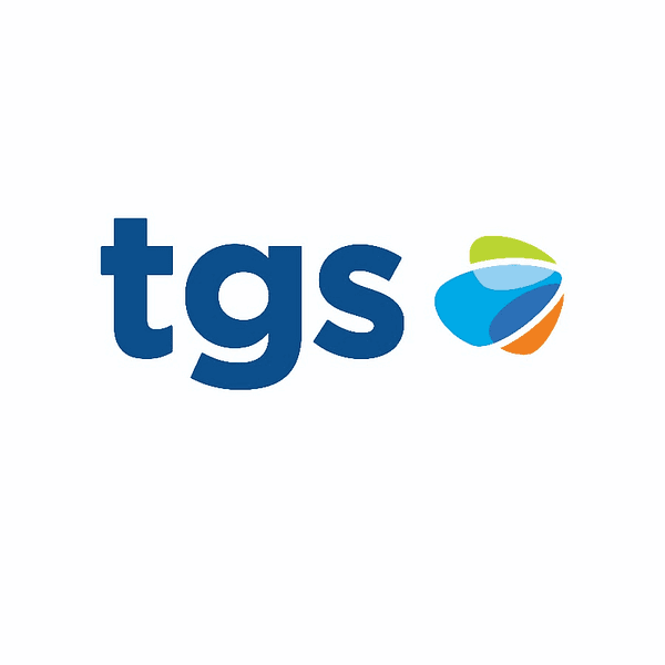 GAS TRANSPORTER OF THE SOUTH INC logo