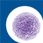 Regen BioPharma Inc logo