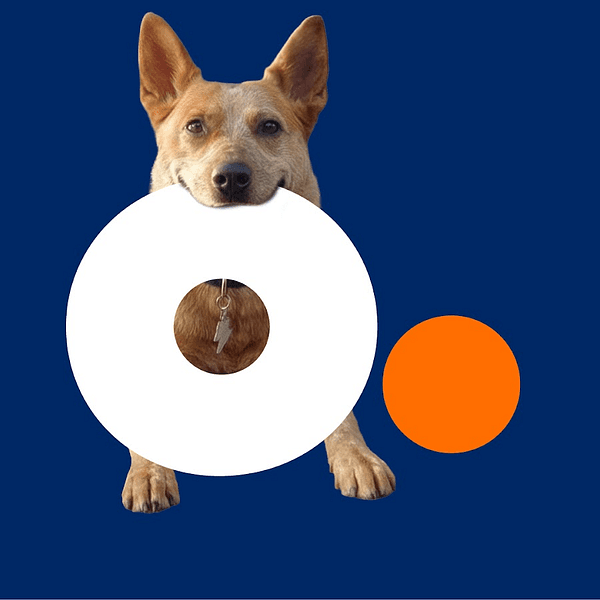 Optimum Communications, Inc. logo