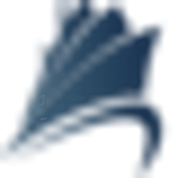 Intercont (Cayman) Ltd logo