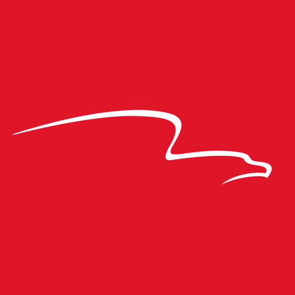 AMERICAN FINANCIAL GROUP INC logo