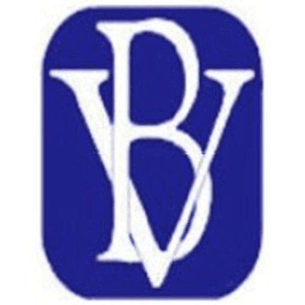 BV Financial, Inc. logo