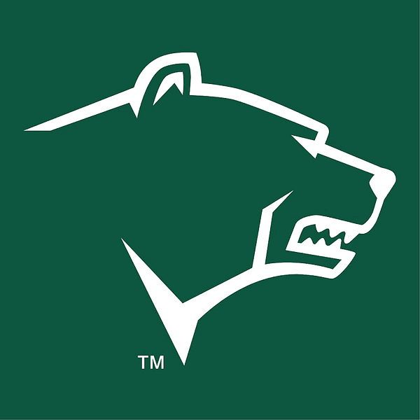 Kodiak Gas Services, Inc. logo