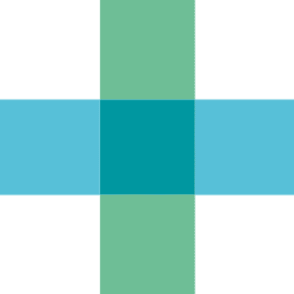 Bausch & Lomb Corp logo