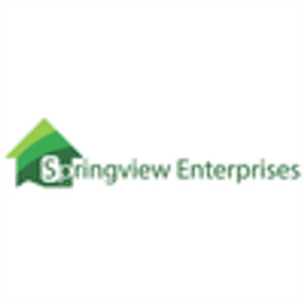 SPRINGVIEW HOLDINGS LTD logo