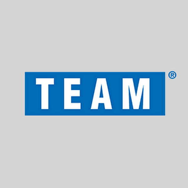 TEAM INC logo