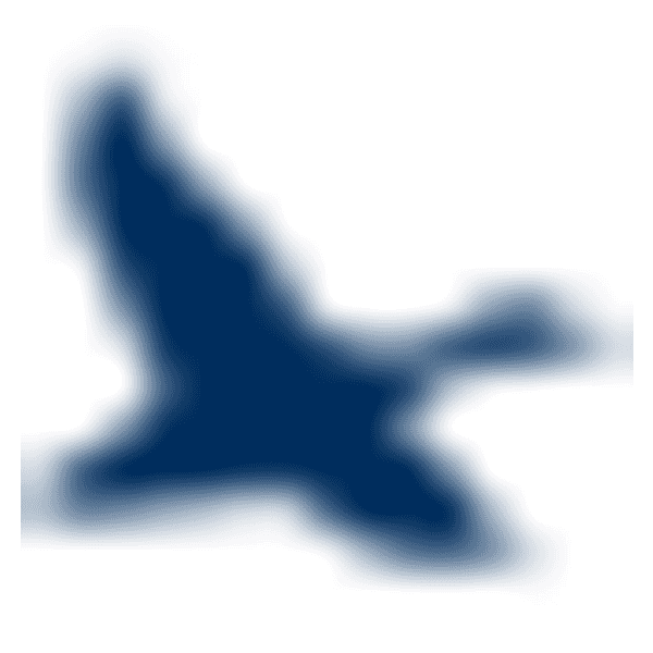 CHESAPEAKE FINANCIAL SHARES INC logo