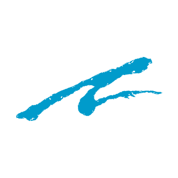 Agassi Sports Entertainment Corp. logo